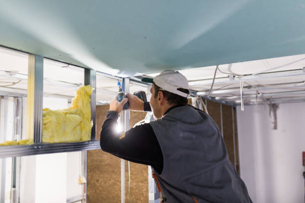 Best Specialized Insulation Services in Tyndall, SD
